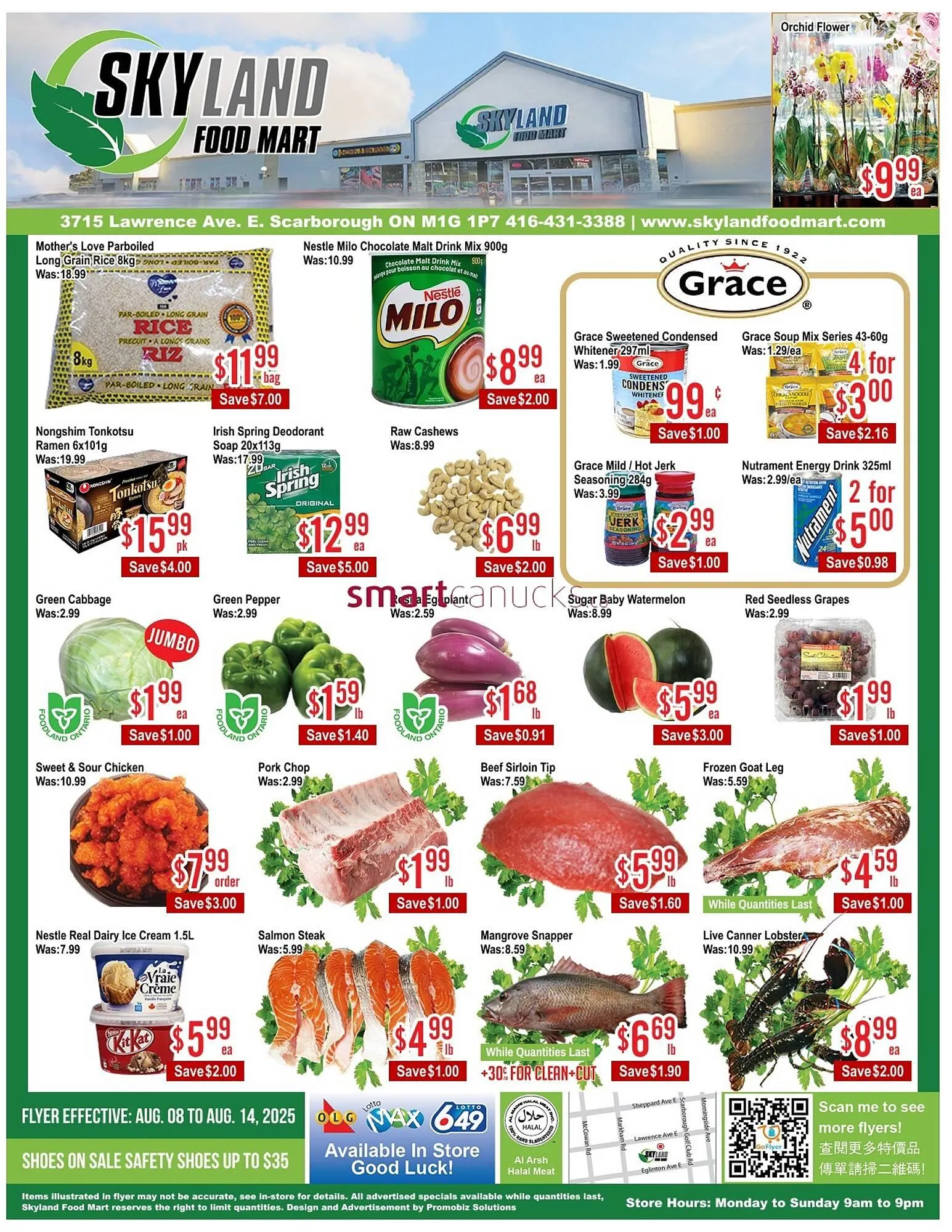 Skyland Foodmart flyer from August 8 to August 14 2025 - flyer page 1