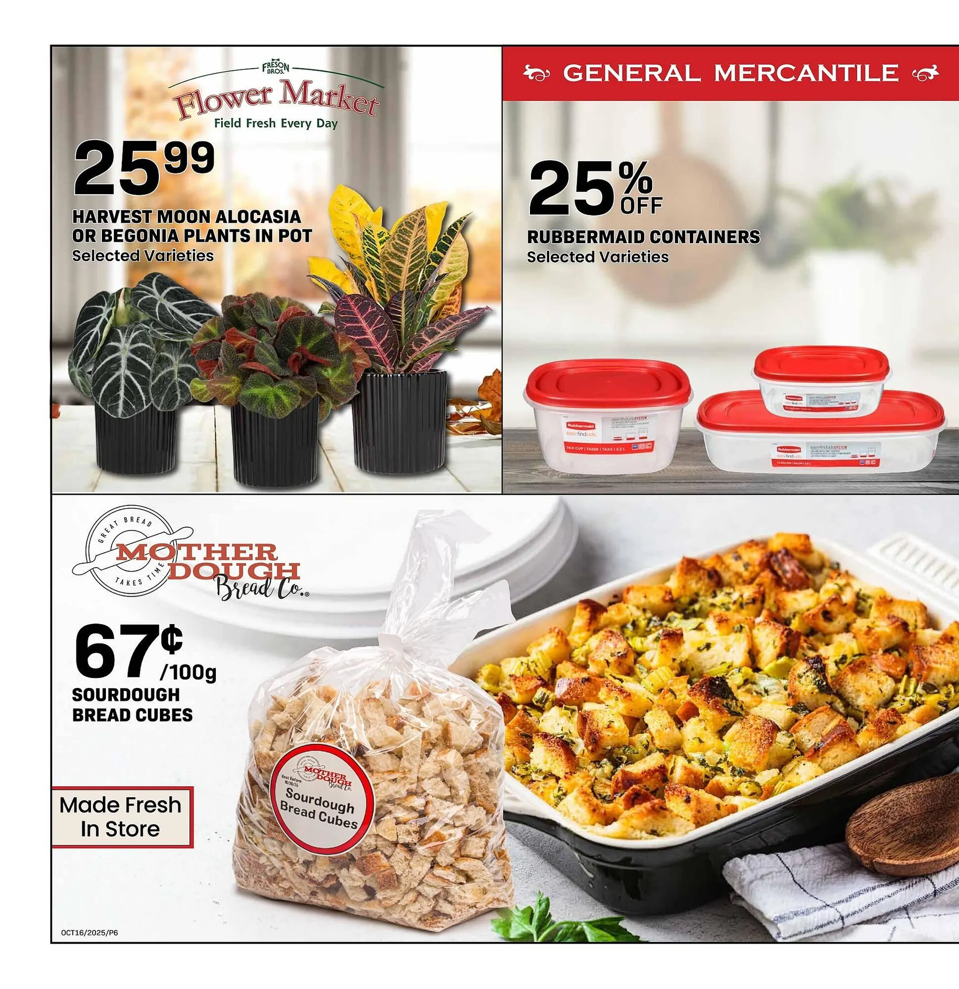 Freson Bros flyer from October 3 to December 26 2025 - flyer page 6