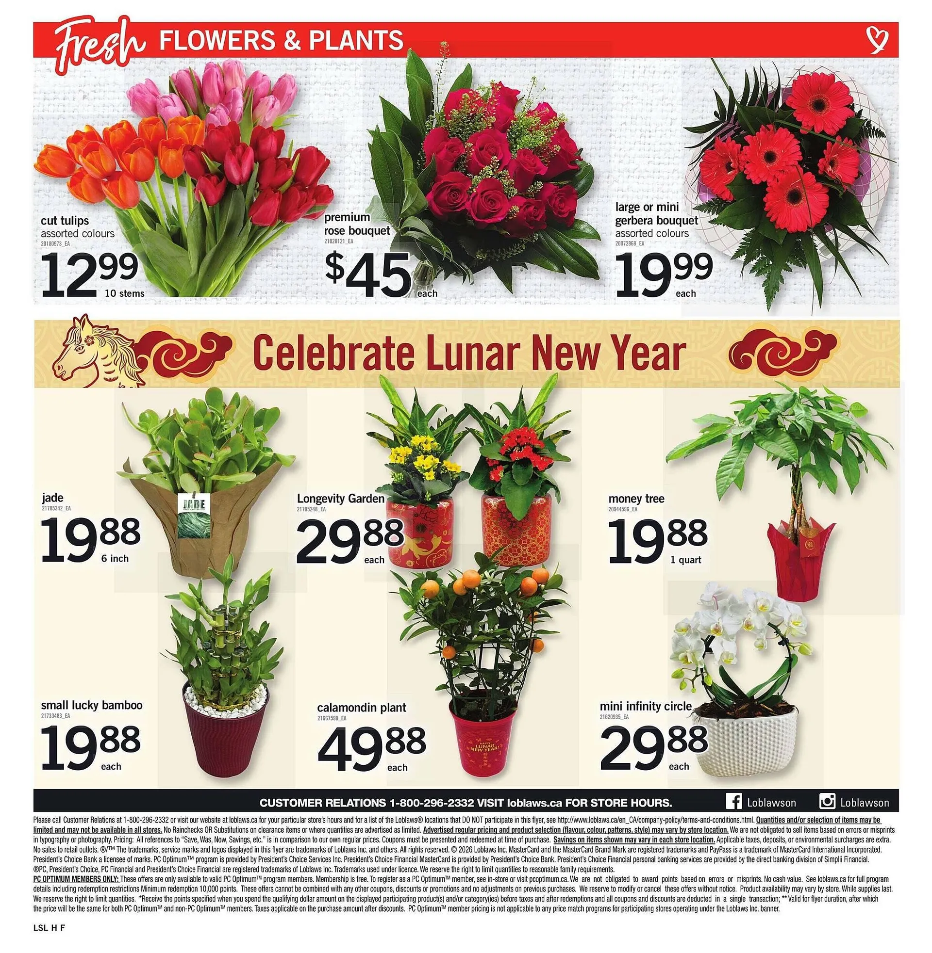 Loblaws flyer from January 15 to January 22 2026 - flyer page 9