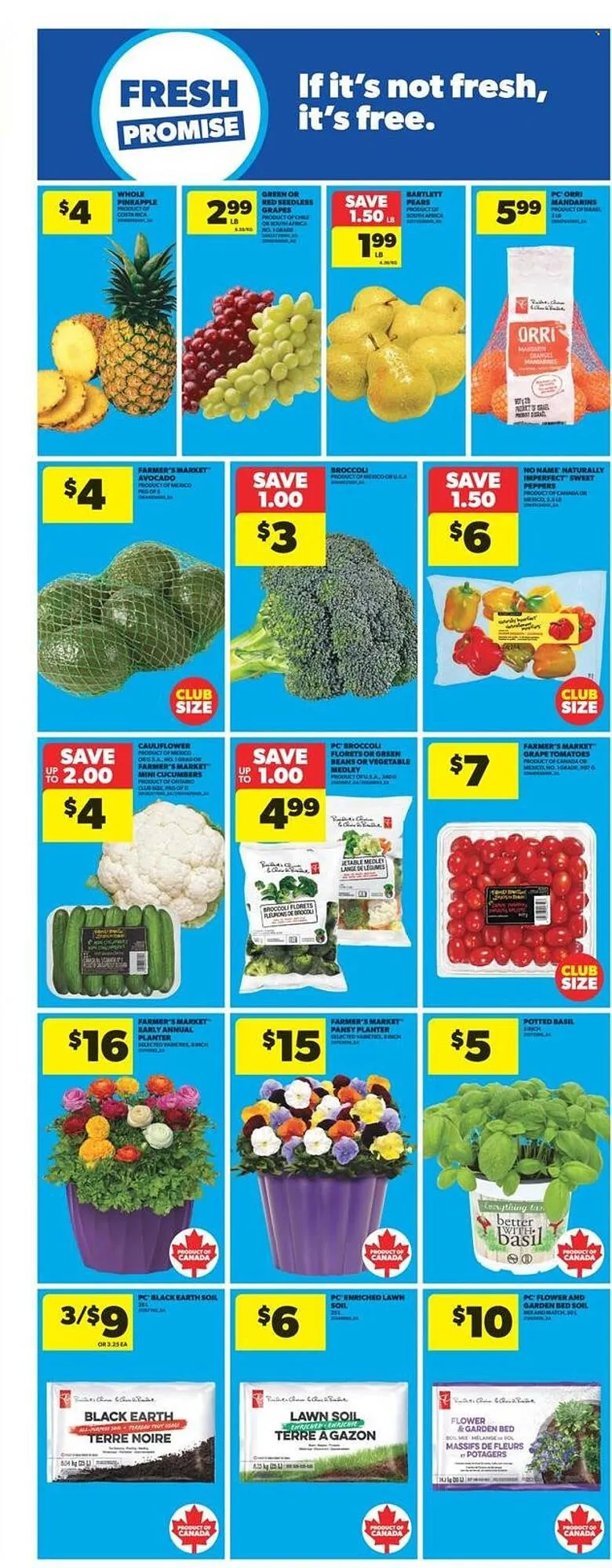 Real Canadian Superstore flyer from April 10 to April 16 2025 - flyer page 9