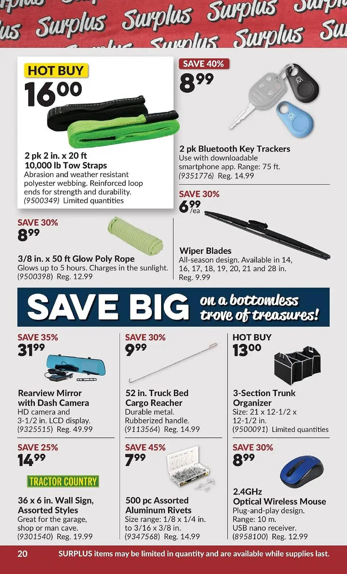 Princess Auto flyer from October 21 to November 2 2025 - flyer page 41