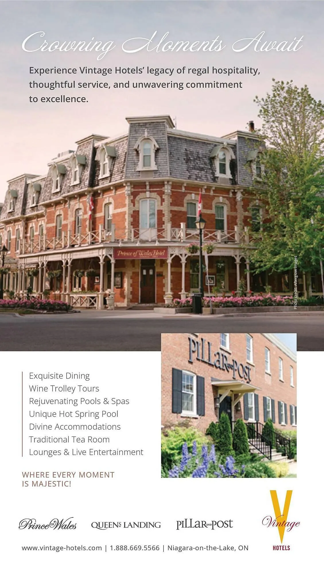 LCBO flyer from May 9 to May 15 2025 - flyer page 198