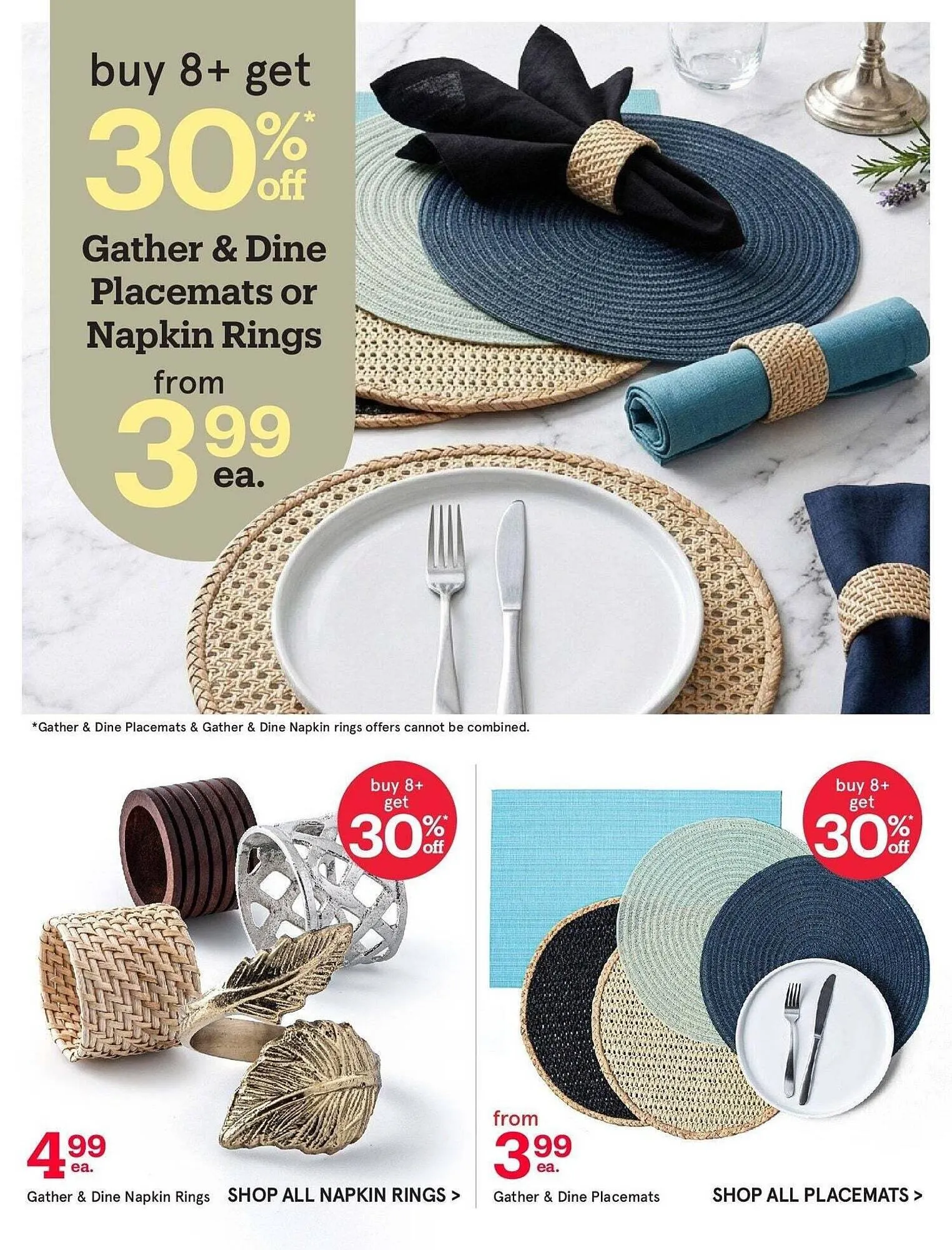 Kitchen Stuff Plus flyer from March 13 to March 20 2026 - flyer page 13