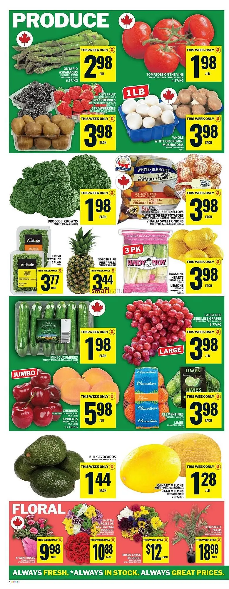 Food Basics flyer from May 29 to June 4 2025 - flyer page 14