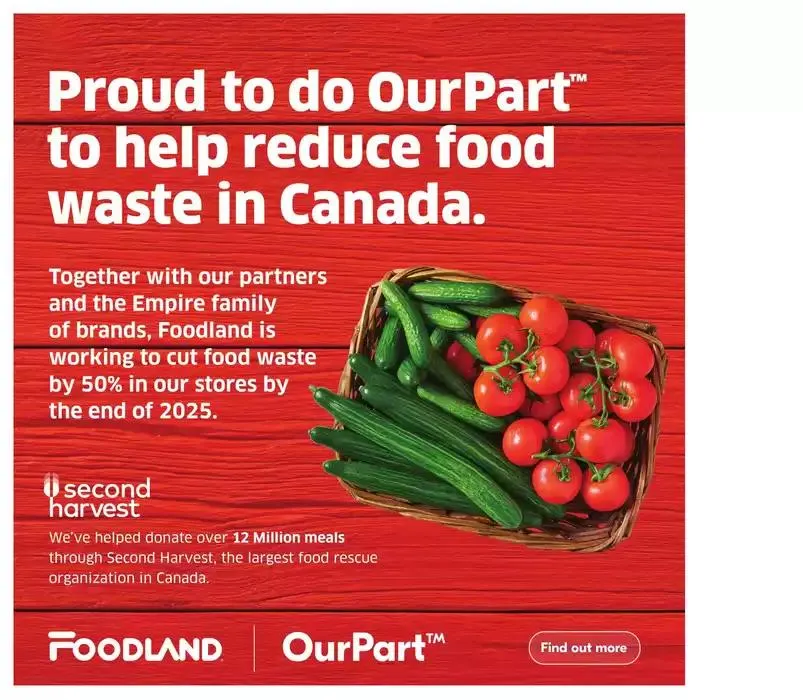 Weekly Flyer from January 9 to January 15 2025 - flyer page 4