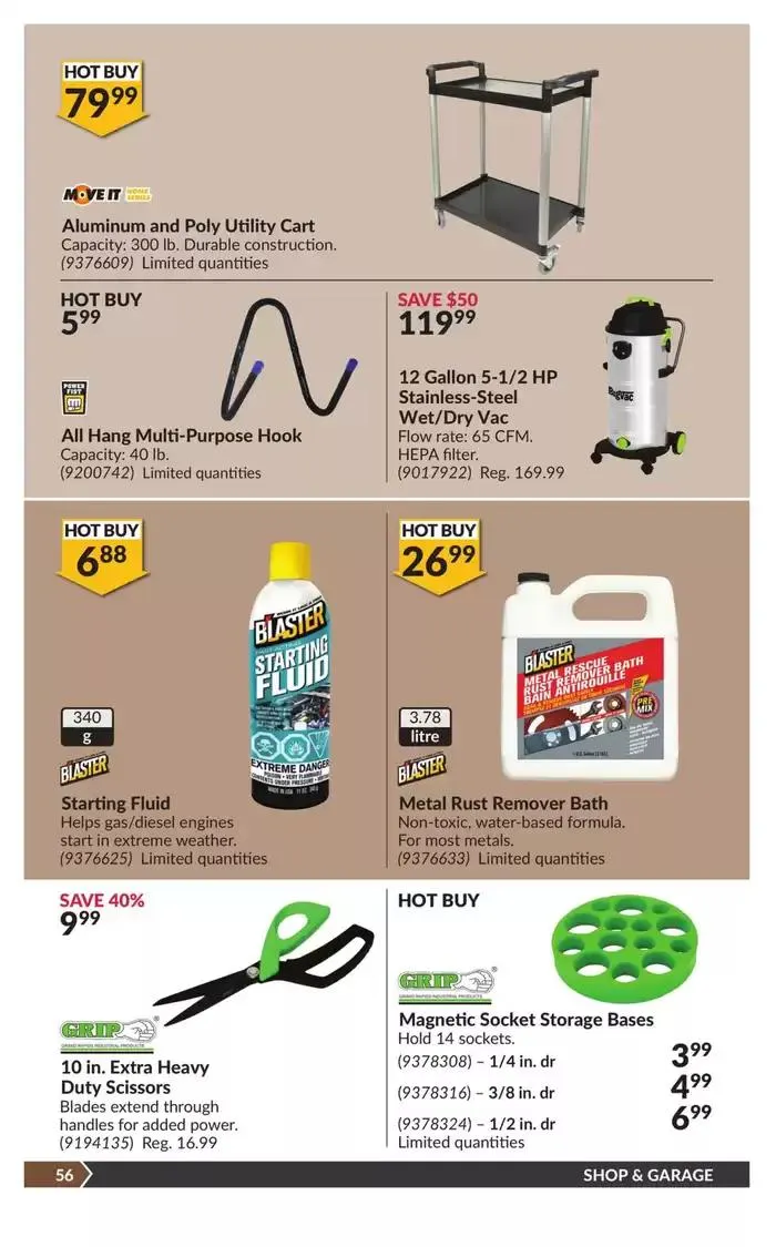 National Sale from January 14 to January 26 2025 - flyer page 61