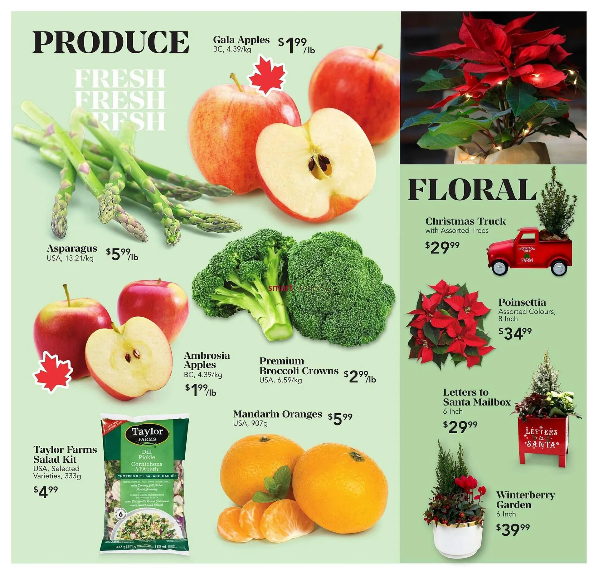 Urban Fare flyer from November 20 to November 26 2025 - flyer page 2