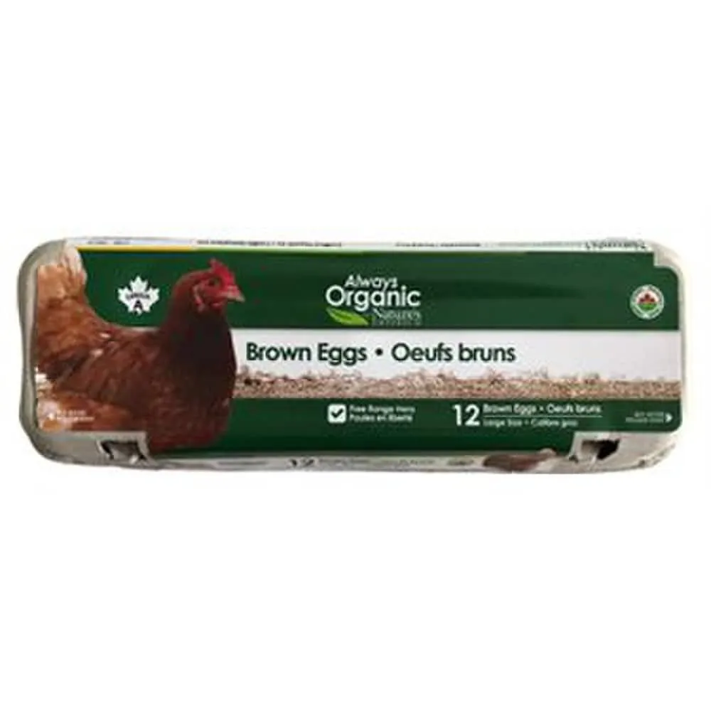 Always Organic Eggs Large Brown Org 12 Pack