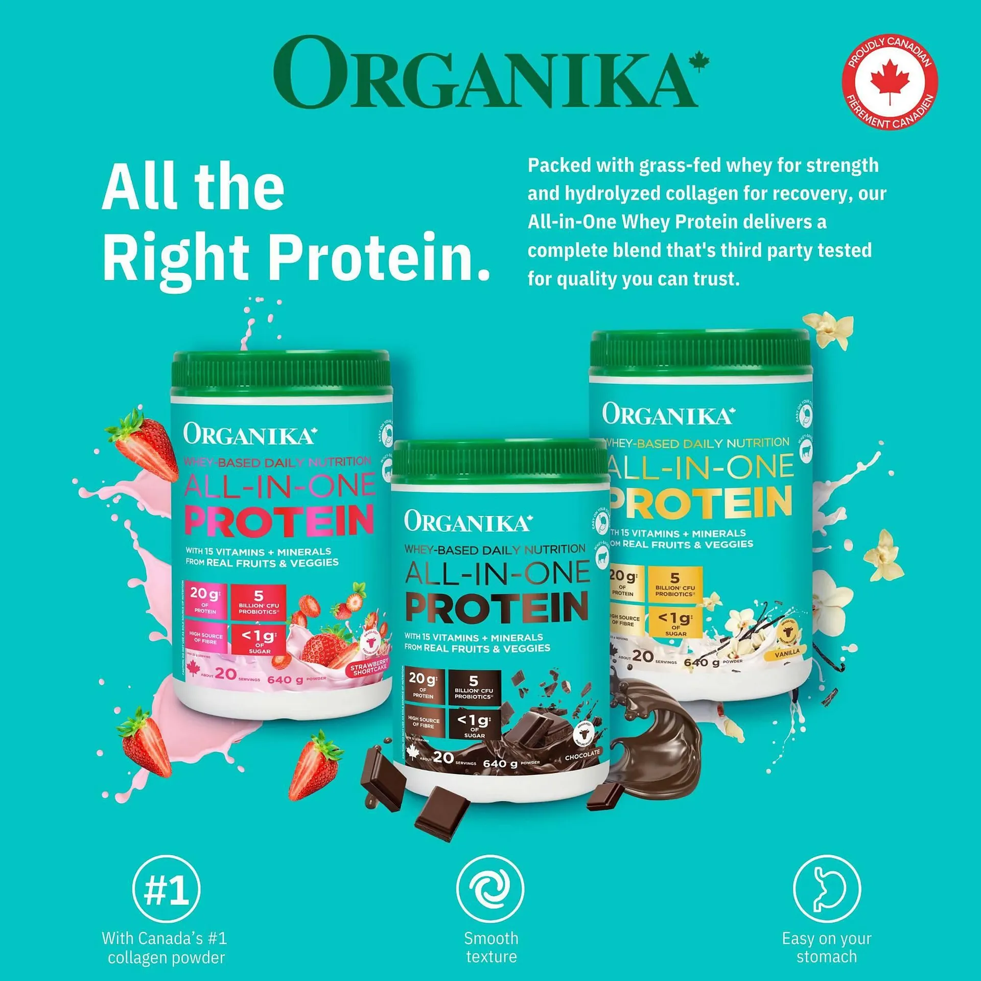 Goodness Me flyer from December 17 to January 6 2026 - flyer page 23