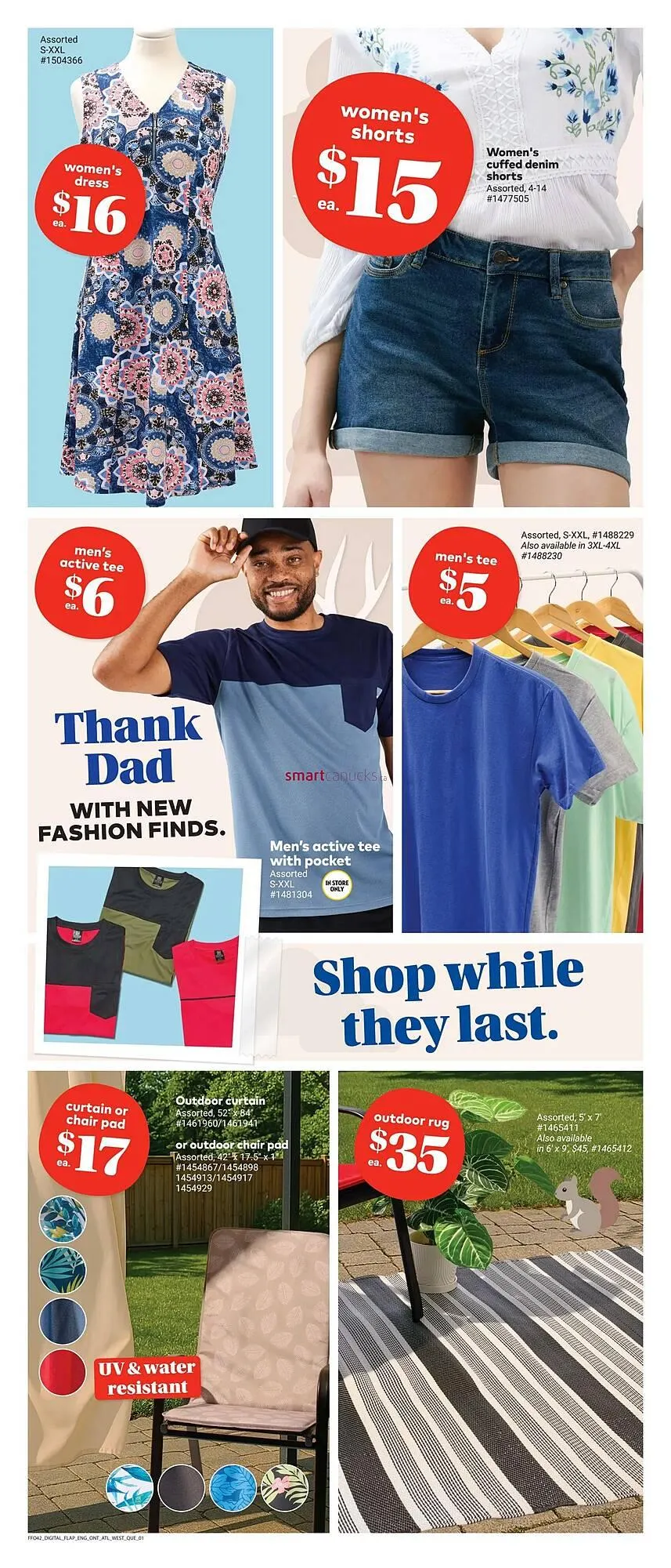 Giant Tiger flyer from May 22 to June 11 2025 - flyer page 4