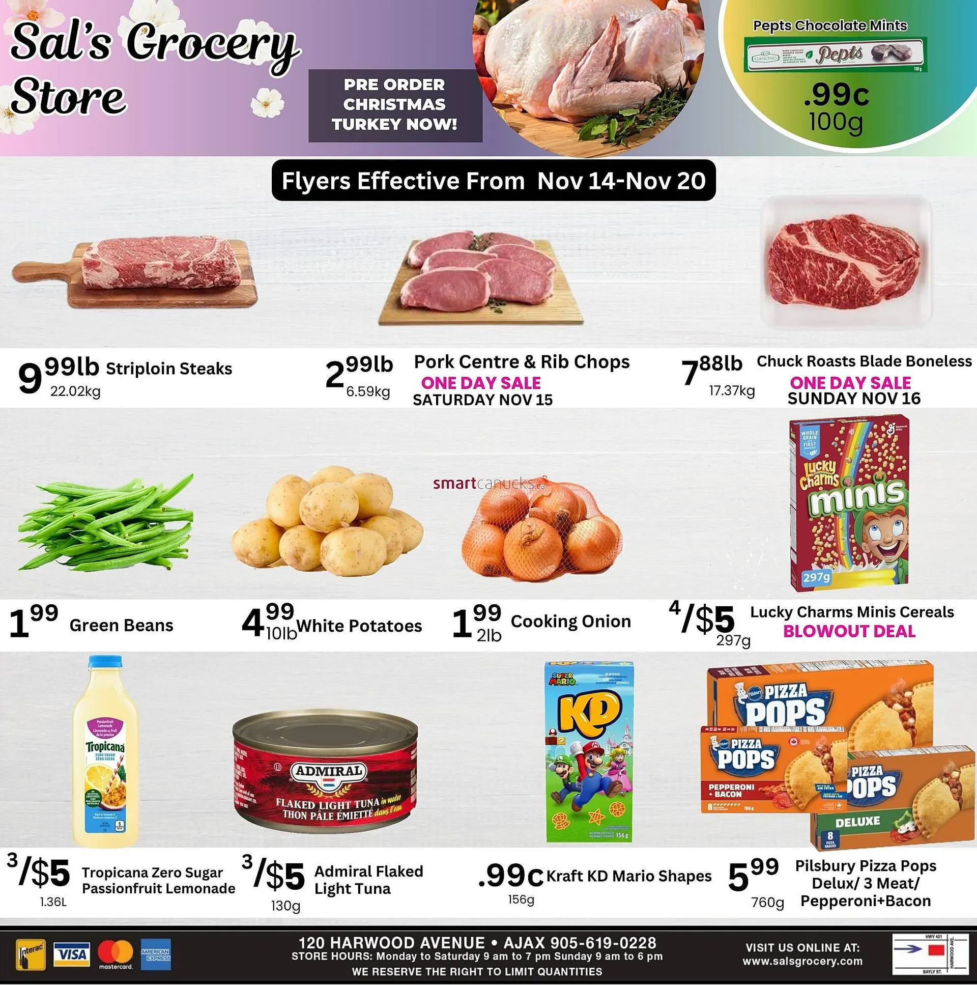 Sal's Grocery flyer from November 13 to December 10 2025 - flyer page 1