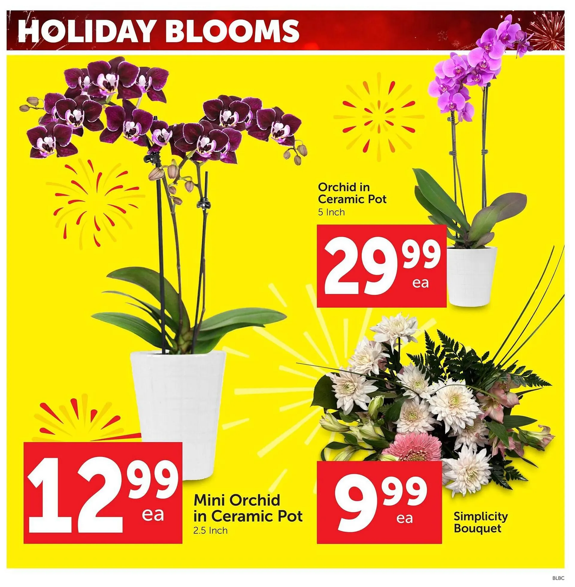 Buy-Low Foods flyer from December 27 to December 31 2025 - flyer page 5