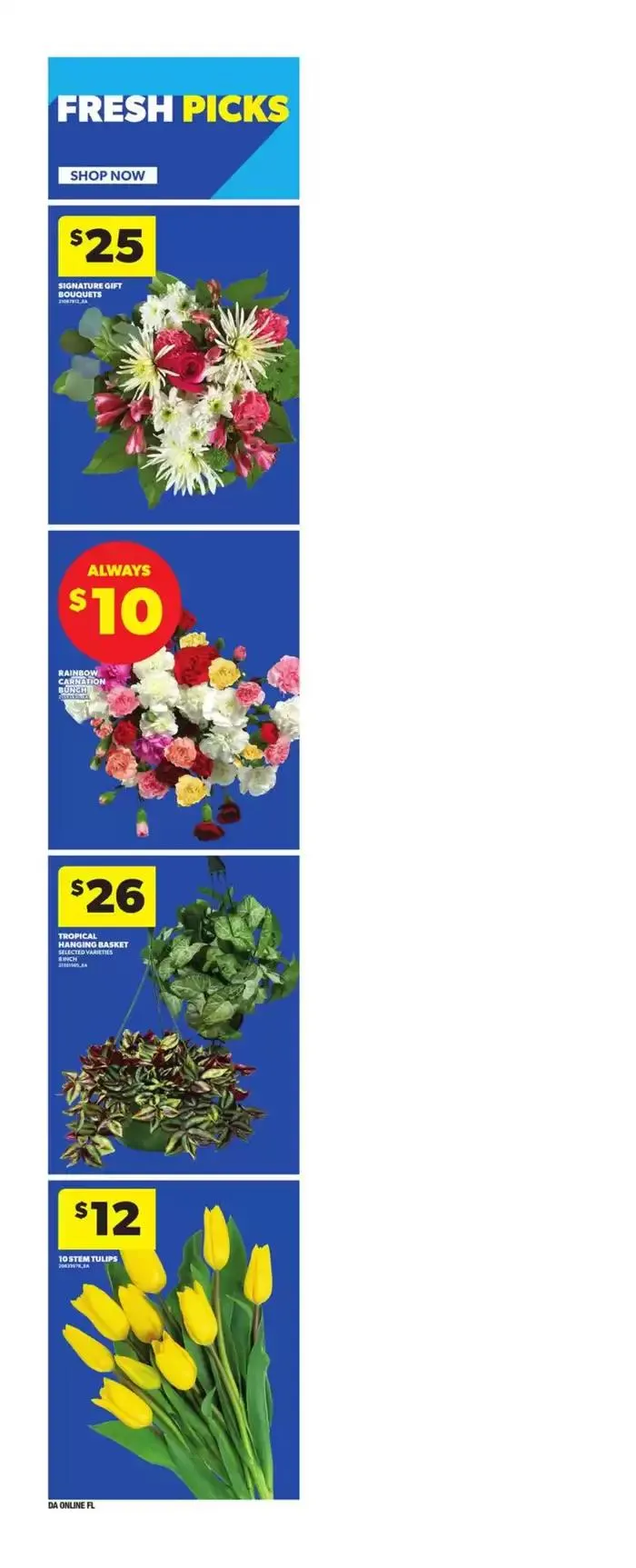 Weekly Flyer from January 9 to January 15 2025 - flyer page 10