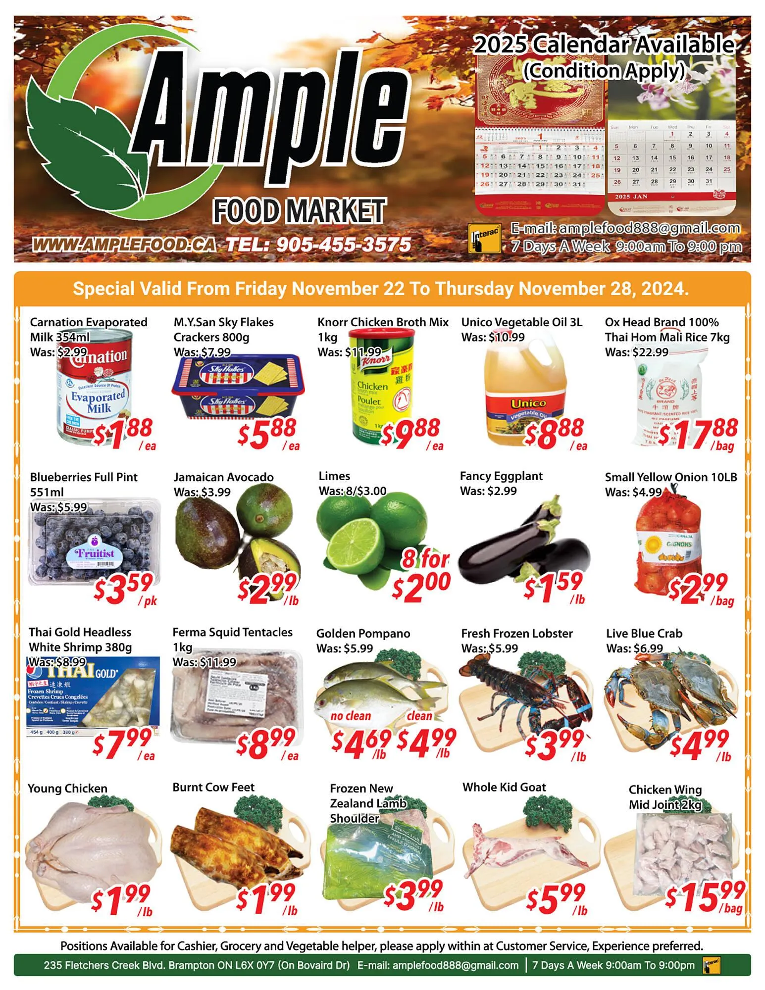 Ample Food Market flyer from November 22 to November 28 2024 - flyer page 1