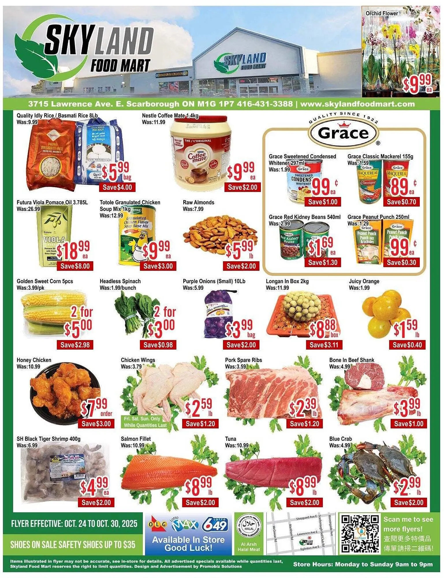 Skyland Foodmart flyer from October 24 to October 31 2025 - flyer page 1