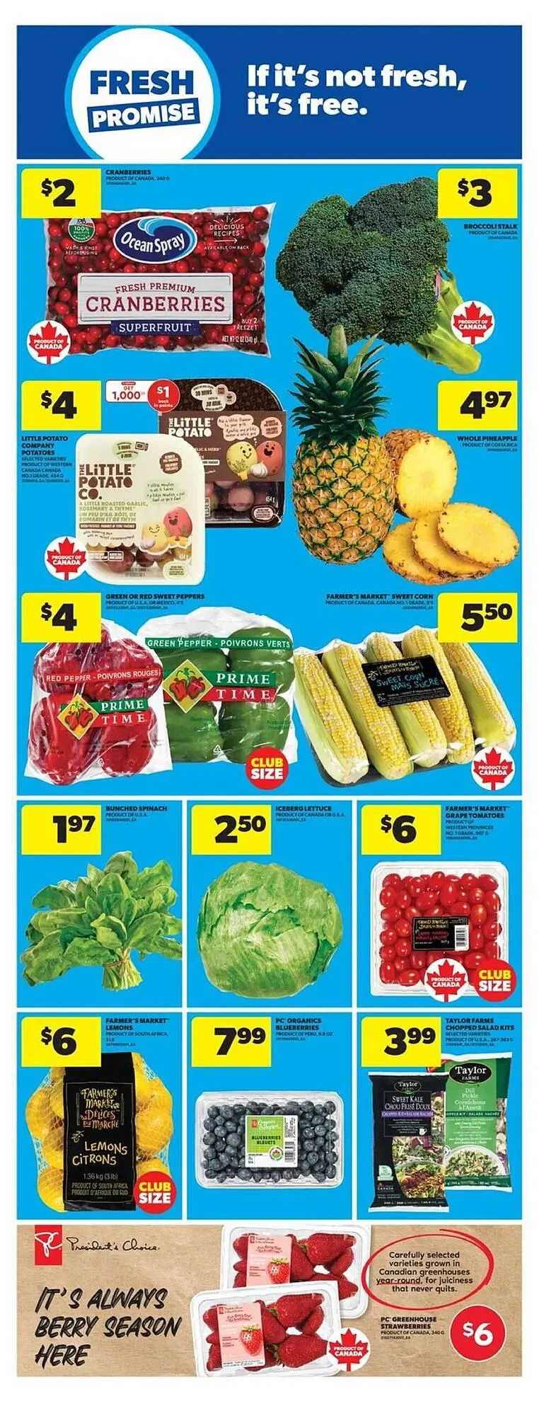 Real Canadian Superstore flyer from October 9 to October 16 2025 - flyer page 12