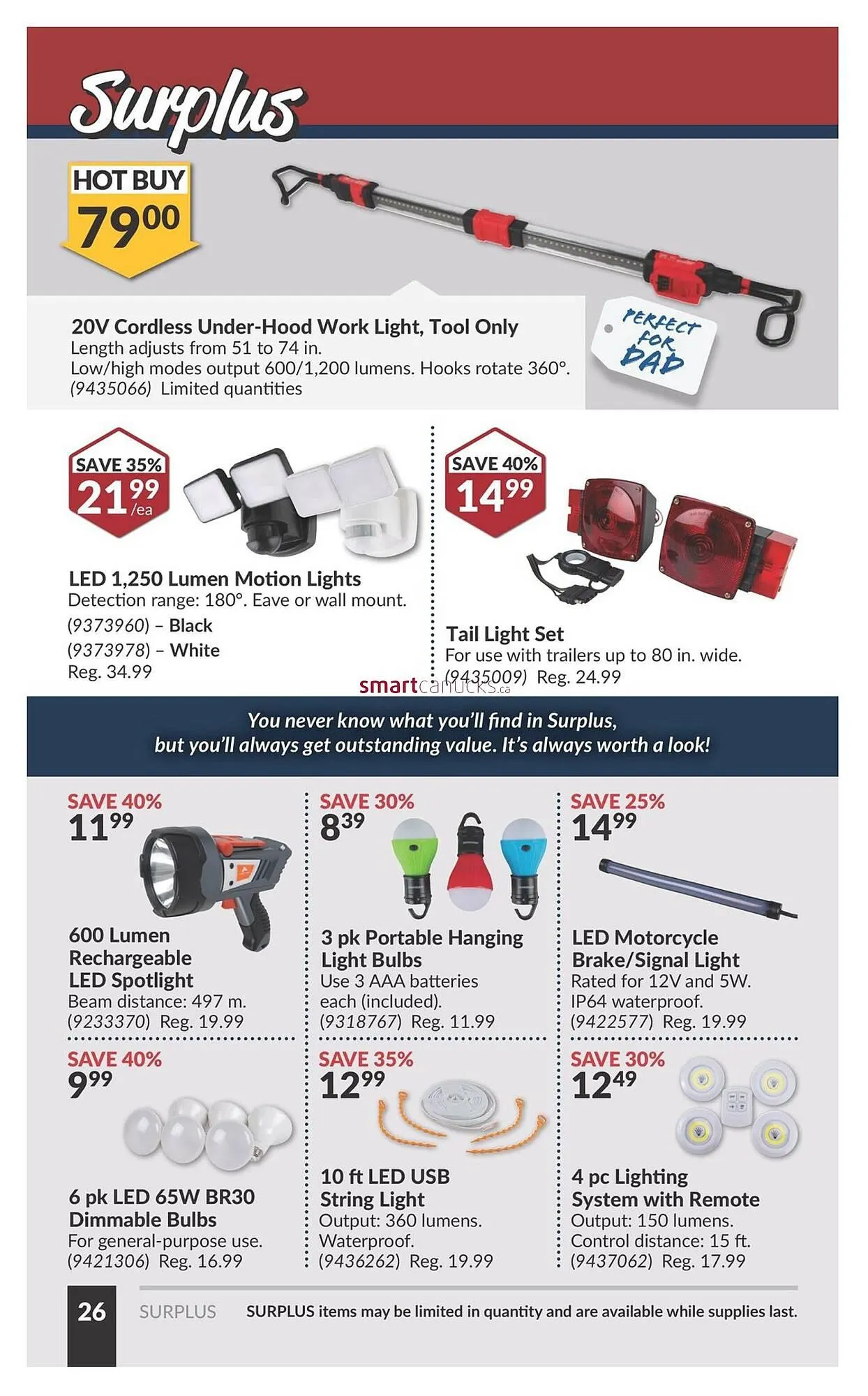 Princess Auto flyer from May 28 to June 3 2025 - flyer page 41