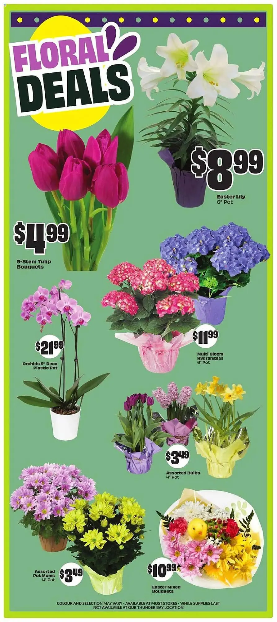 FreshCo flyer from April 10 to April 16 2025 - flyer page 6