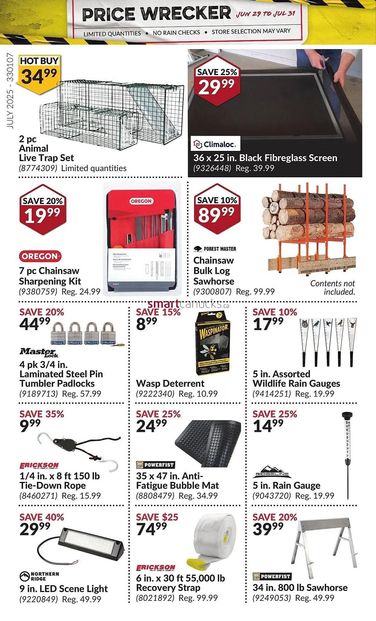 Princess Auto flyer from June 29 to July 5 2025 - flyer page 29