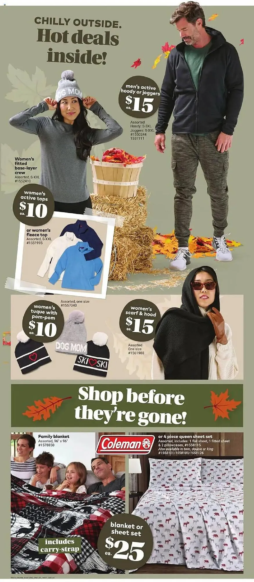 Giant Tiger flyer from October 22 to October 28 2025 - flyer page 4