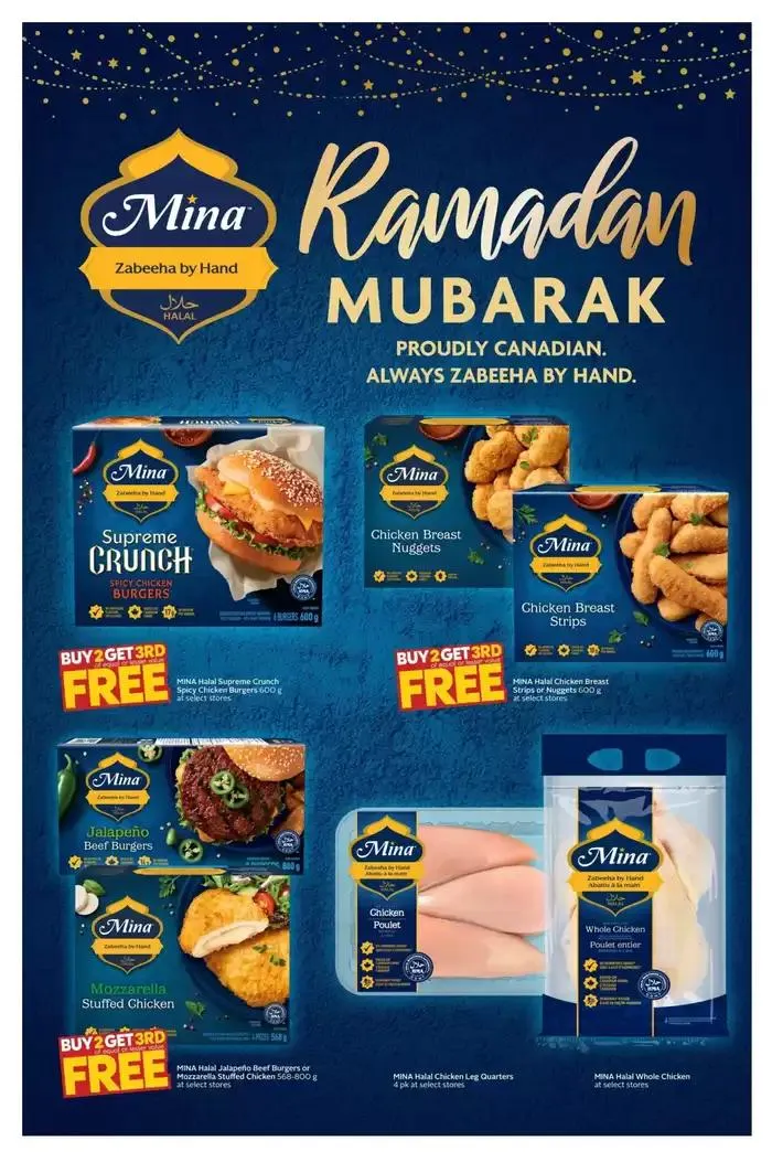 New offers to discover from March 13 to March 19 2025 - flyer page 17