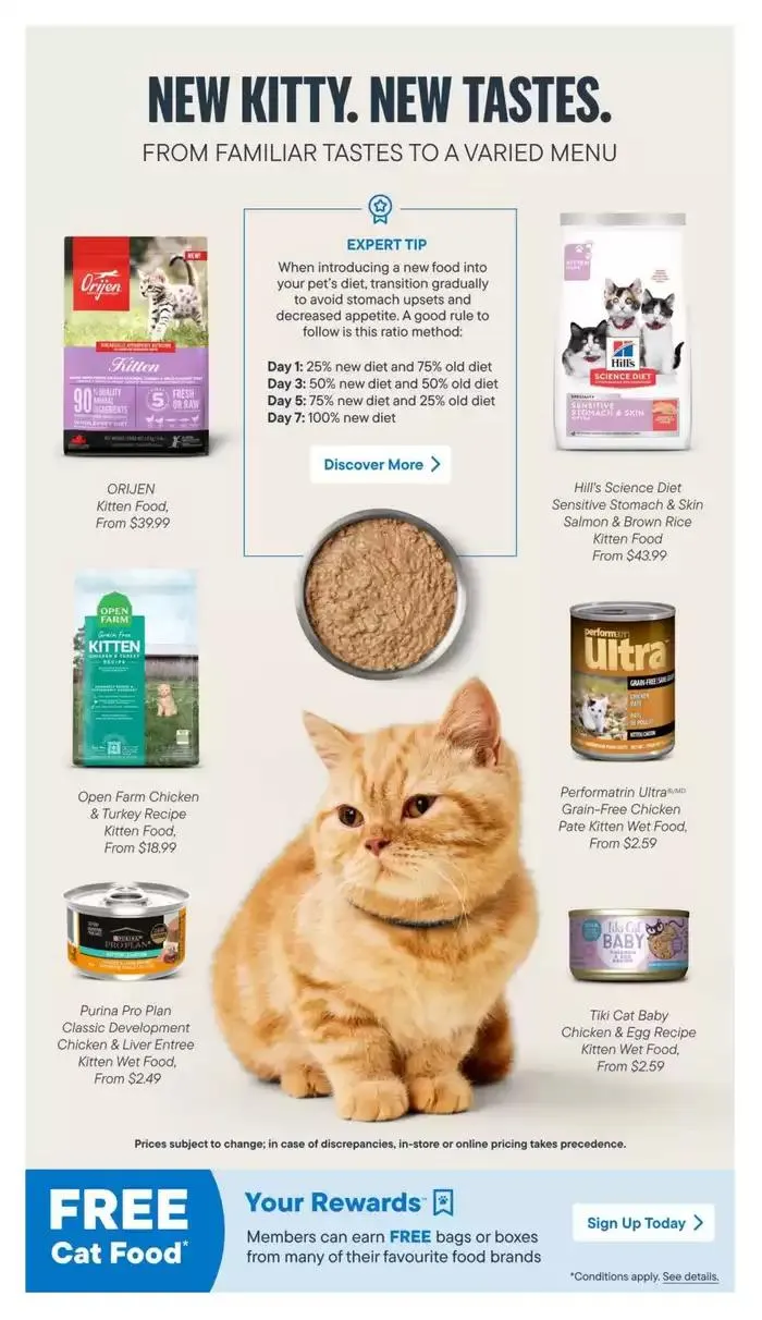 Devoted Cat Parent Guide from March 3 to March 31 2025 - flyer page 8
