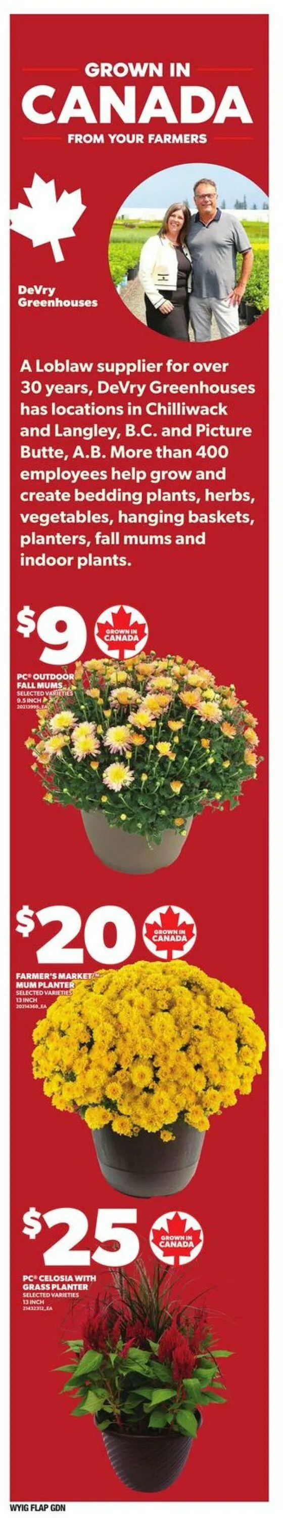 Independent Current flyer from August 21 to August 27 2025 - flyer page 9