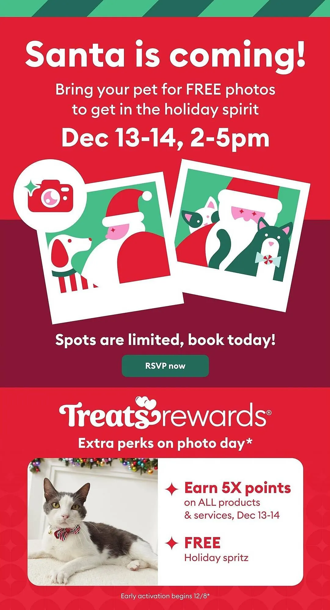 Petsmart flyer from December 4 to December 17 2025 - flyer page 7