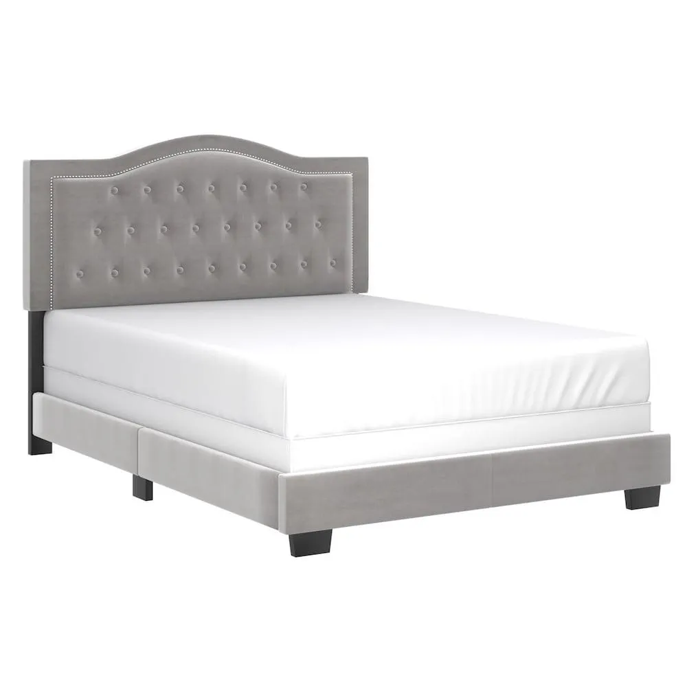 Modern Velvet Upholstered 60" Queen Bed in Light Grey
