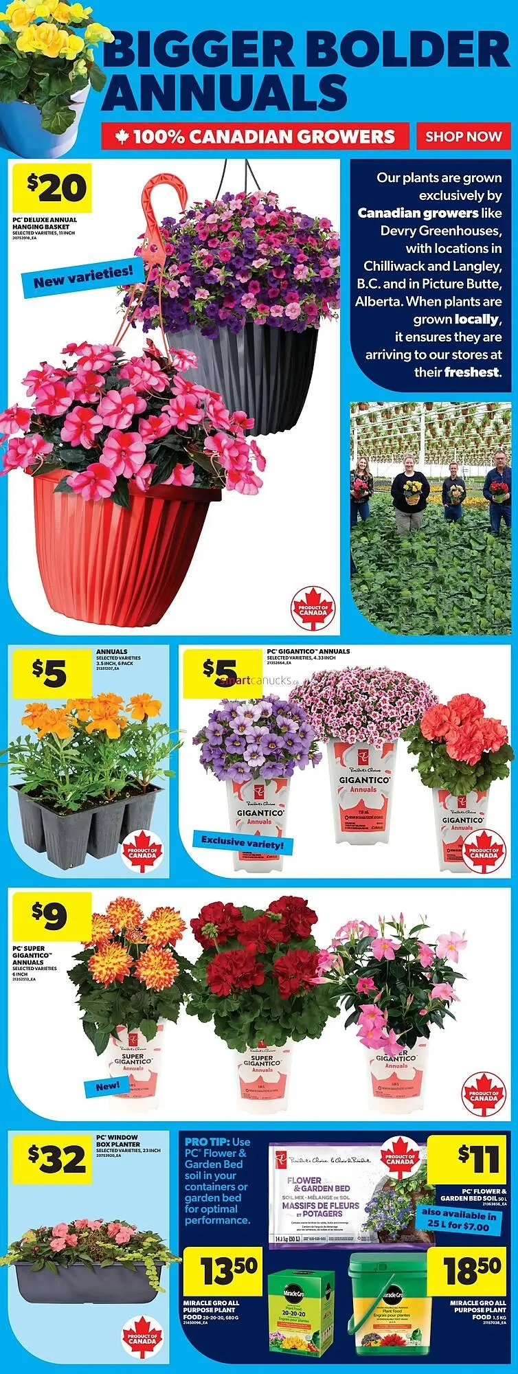 Real Canadian Superstore flyer from May 22 to May 28 2025 - flyer page 42