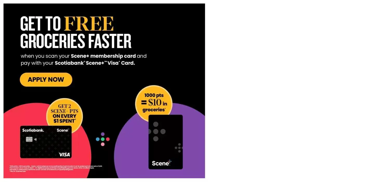 Offers for bargain hunters from January 9 to January 15 2025 - flyer page 21