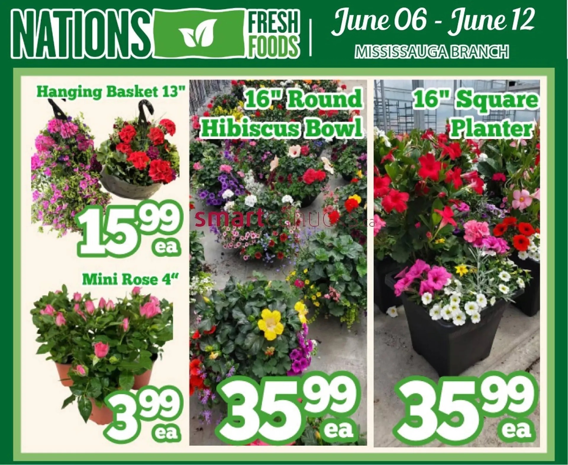 Nations Fresh Foods flyer from June 6 to June 12 2025 - flyer page 2