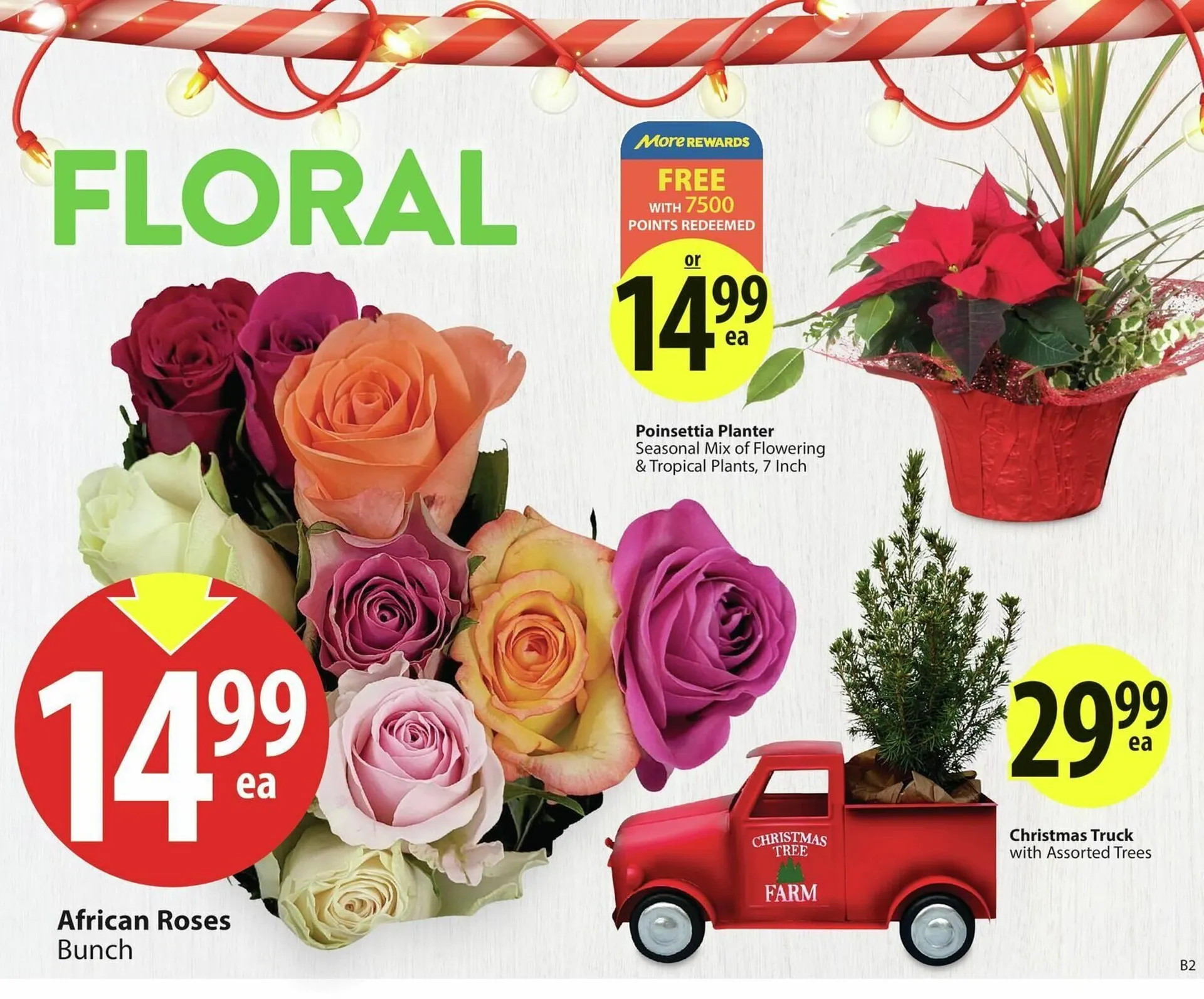 Save on Foods flyer from November 14 to November 21 2024 - flyer page 5