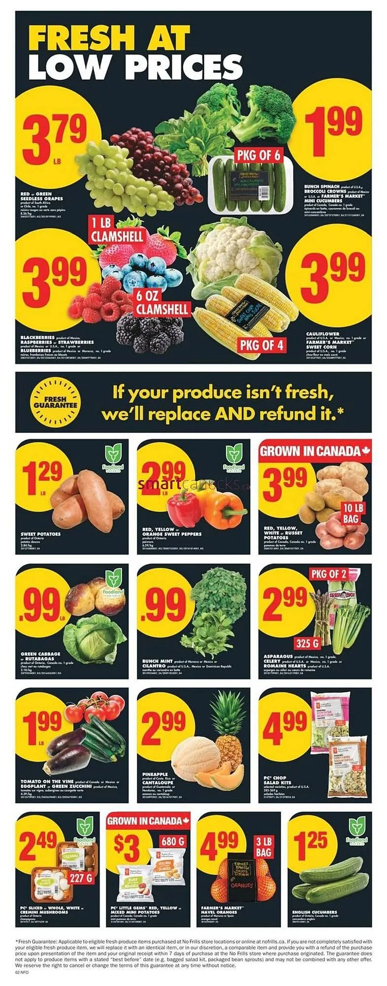 No Frills flyer from April 10 to April 17 2025 - flyer page 3