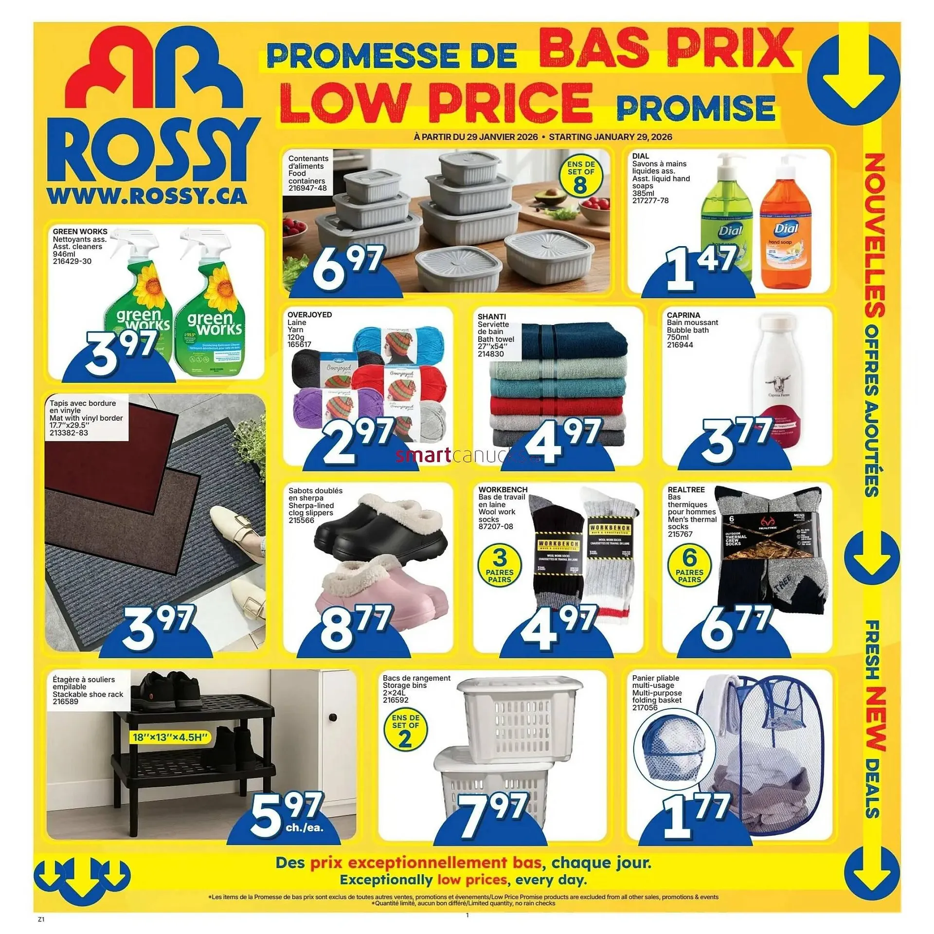 Rossy flyer - 1