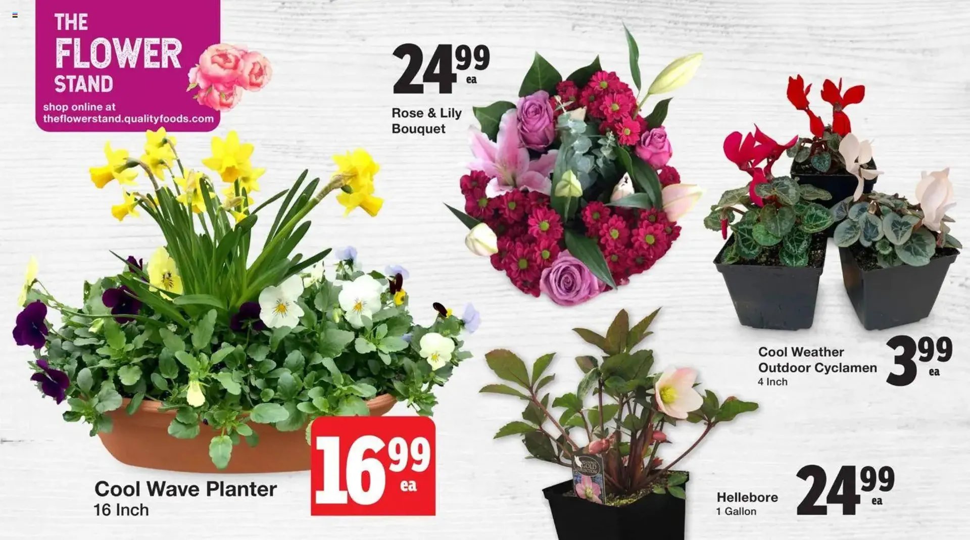 Quality Foods flyer from February 26 to March 4 2026 - flyer page 3