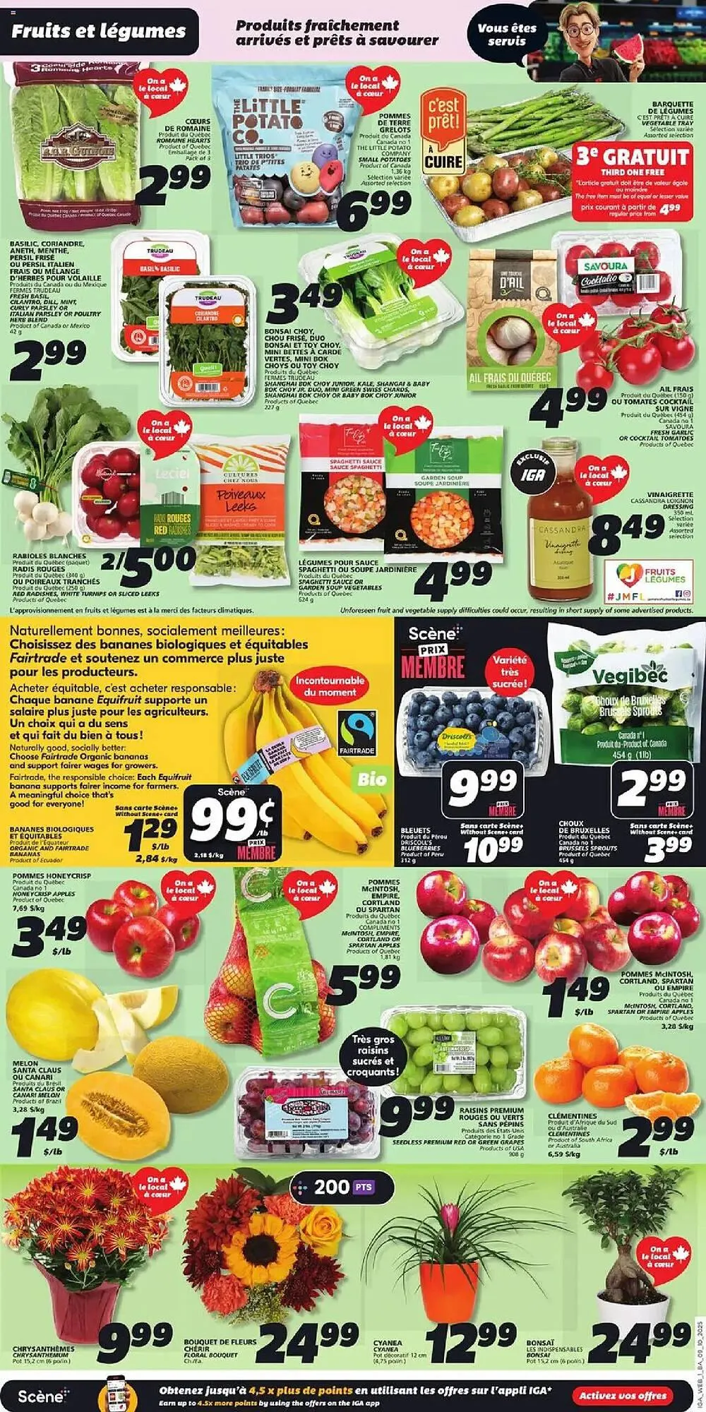 IGA flyer from October 9 to October 15 2025 - flyer page 5