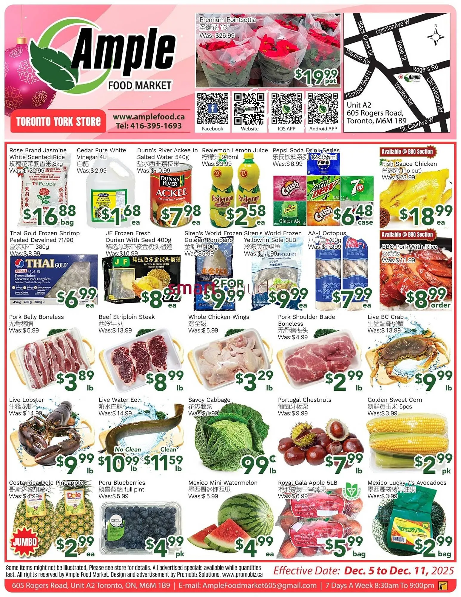 Ample Food Market flyer from December 5 to December 11 2025 - flyer page 1