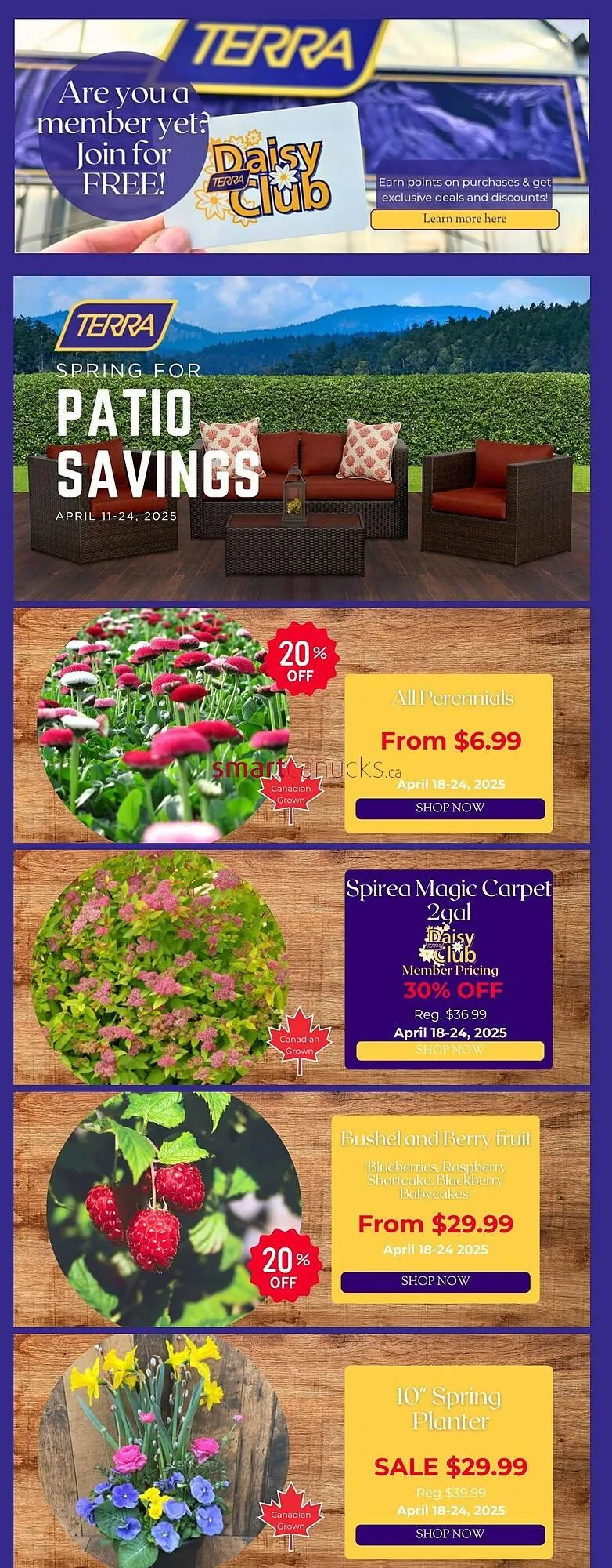 Terra Green Houses flyer - 1