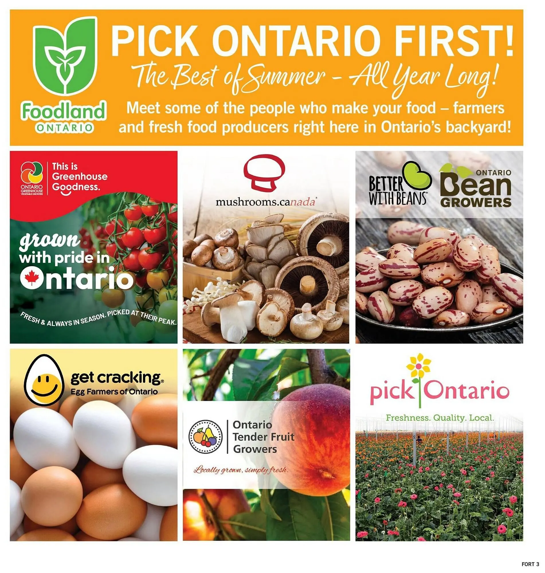 Fortinos flyer from July 24 to July 30 2025 - flyer page 8