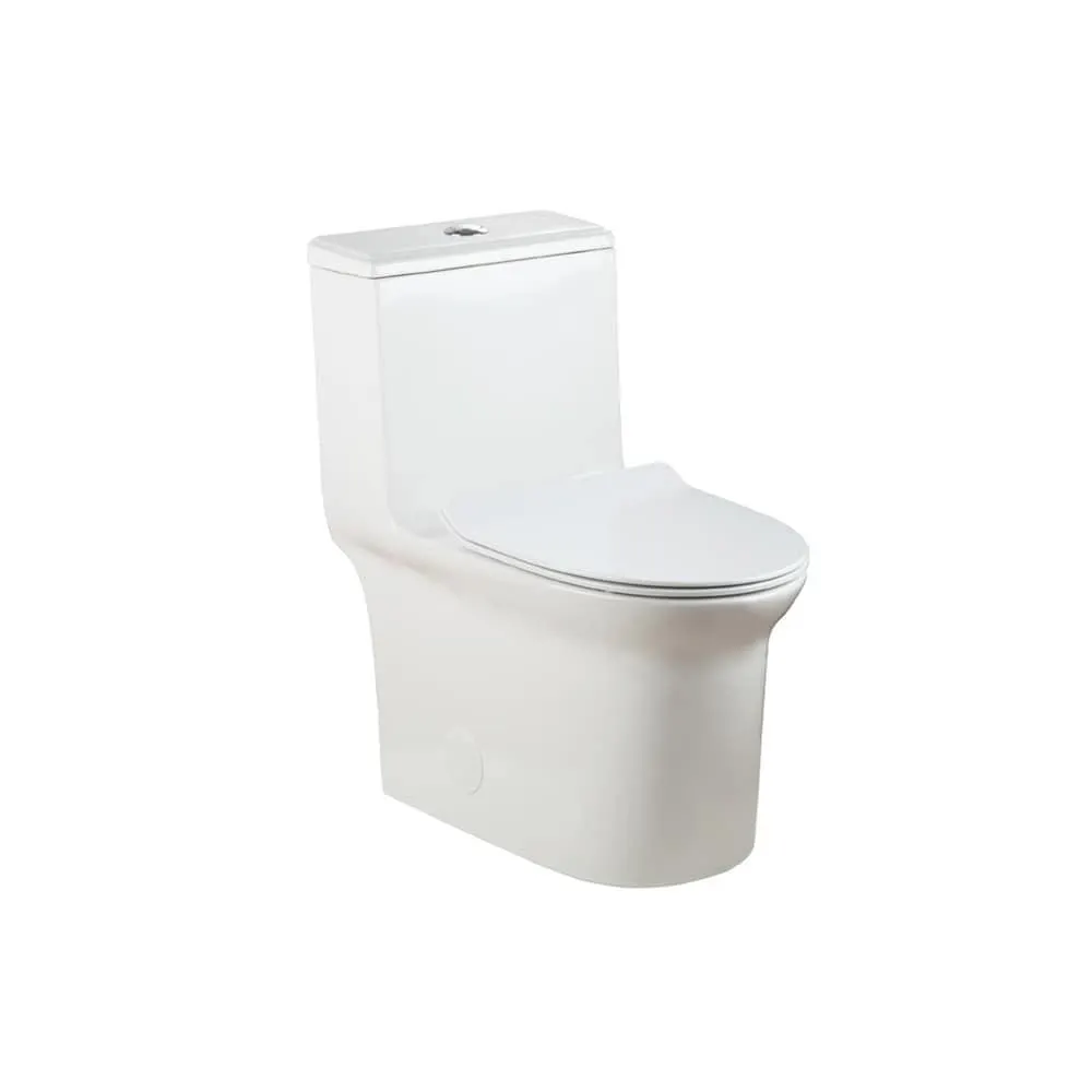 Tovia One Piece Toilet with Soft Close Seat in White