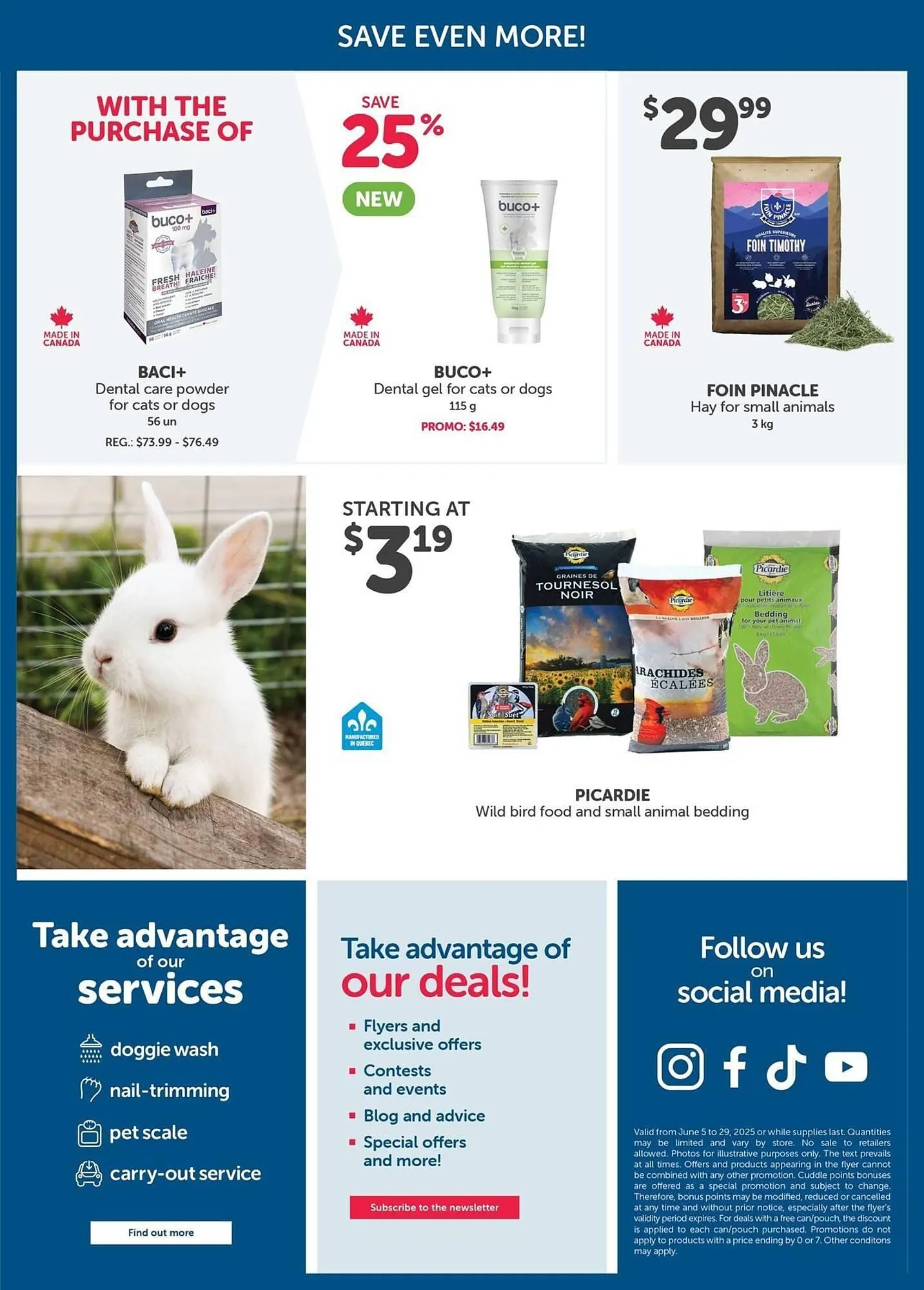 Mondou flyer from June 5 to June 12 2025 - flyer page 13