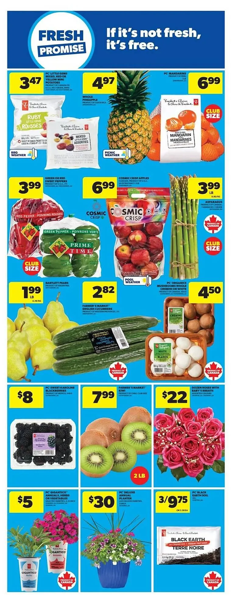 Real Canadian Superstore flyer from June 12 to June 18 2025 - flyer page 15