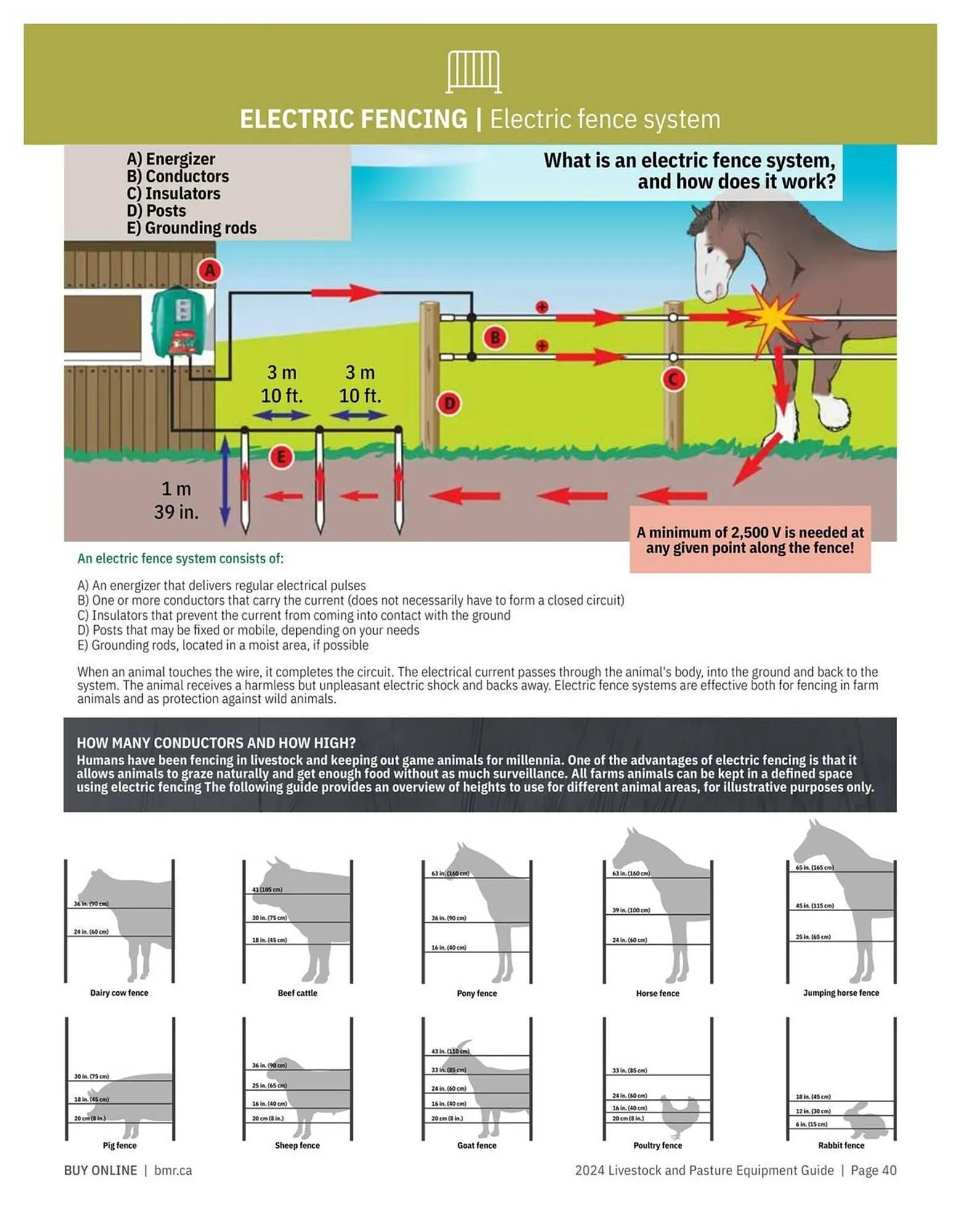 BMR flyer from January 5 to December 31 2024 - flyer page 40