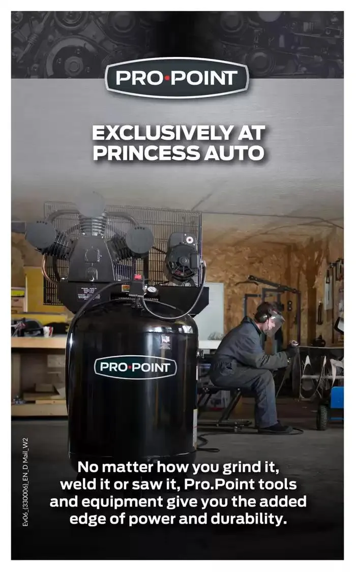 National Sale from March 11 to March 23 2025 - flyer page 2