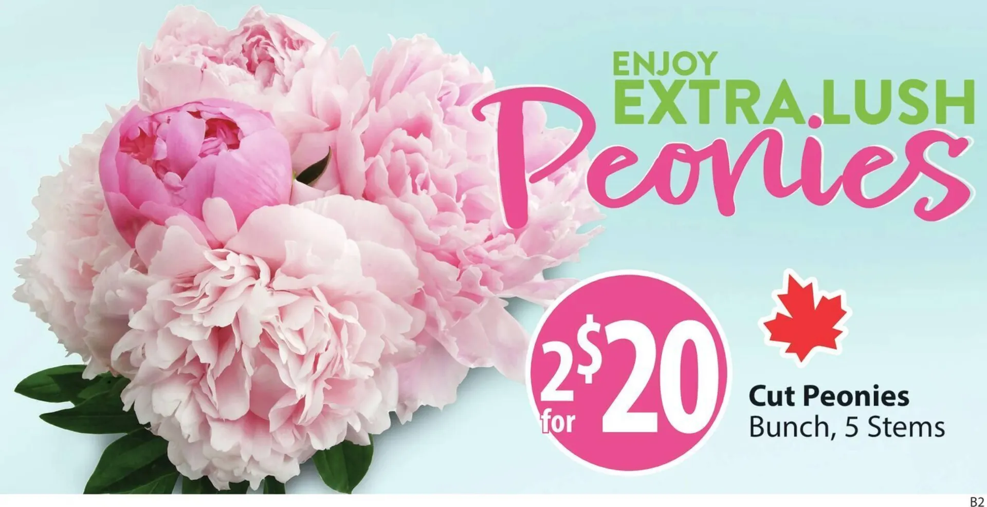 Save on Foods flyer from May 29 to June 5 2025 - flyer page 7