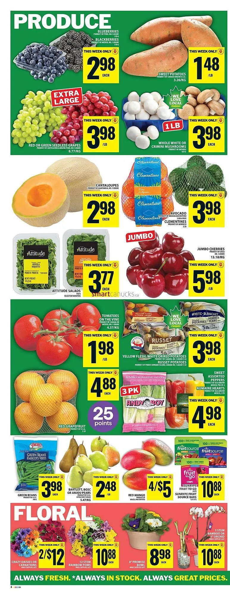 Food Basics flyer from January 15 to January 21 2026 - flyer page 7