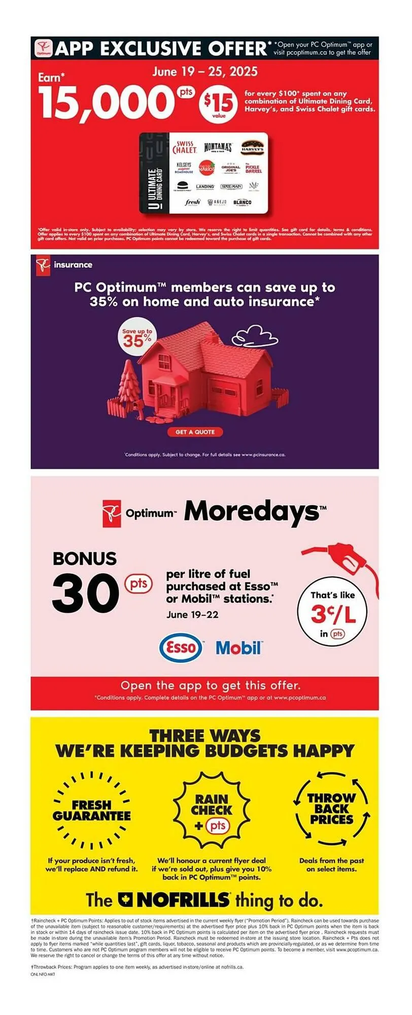 No Frills flyer from June 19 to June 25 2025 - flyer page 17