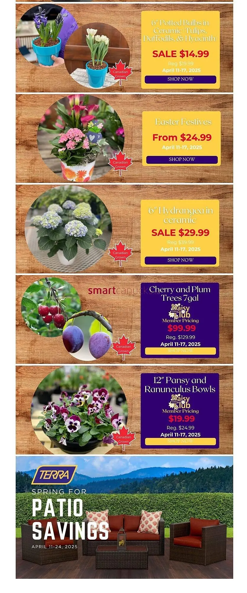 Terra Green Houses flyer from April 11 to April 17 2025 - flyer page 2