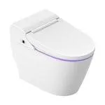 STYLEMENT 1-Piece 1.12 GPF Dual Flush Elongated Standard Smart Bidet Toilet in White
